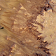 Illustration for article titled Scientists find evidence of liquid water on the surface of Mars
